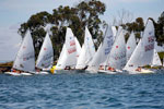 Regata Santa Joana Princesa / Porto de Aveiro / Universidade de Aveiro