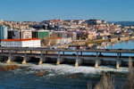 Fluviário de Mora no programa de monitorização de peixes em Coimbra