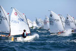 Elite europeia compete em Tavira - Campeonato Europeu de Optimist