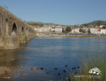 Município de Ponte de Lima Promove VIII Descida do Rio Lima