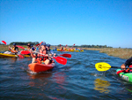 V Passeio BioRia de Kayak pelas Ribeiras de Veiros