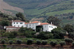 5º Passeio Fluvial no Rio Douro