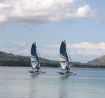 DESPORTO: Catamarãs na Figueira