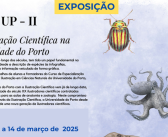 Exposição “Ilustra UP – II – A Ilustração Científica na Universidade do Porto”